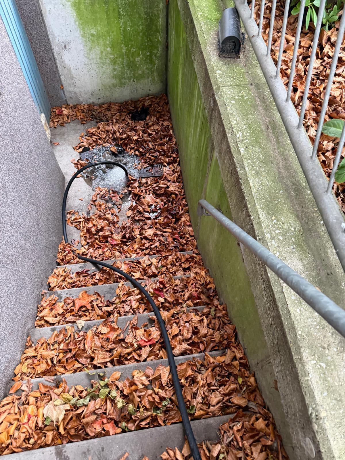 TV-Kamerabefahrung im Hausanschluss in Osnabrück